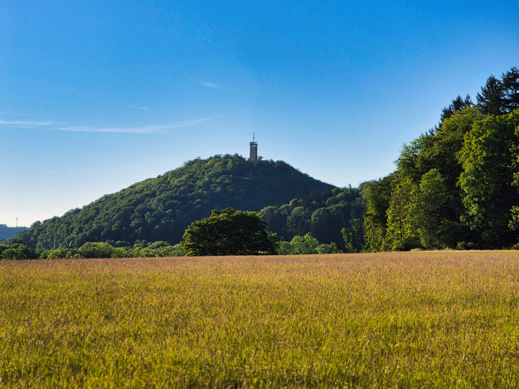 Blick zum Roßbergturm Schönberger Kapf