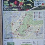 Firstwaldrunde Streuobstwiesen Trailrunning Einsteiger