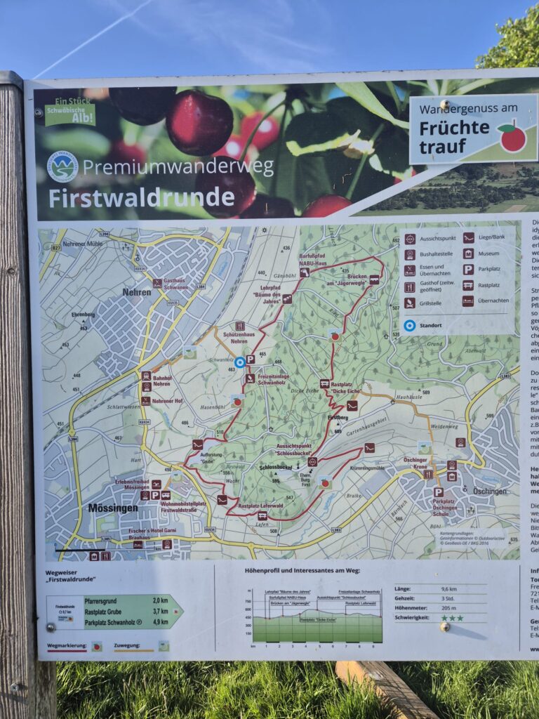 Firstwaldrunde Streuobstwiesen Trailrunning Einsteiger