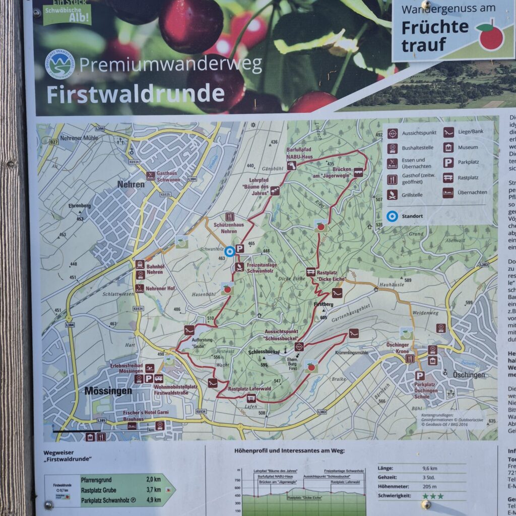 Firstwaldrunde Streuobstwiesen Trailrunning Einsteiger